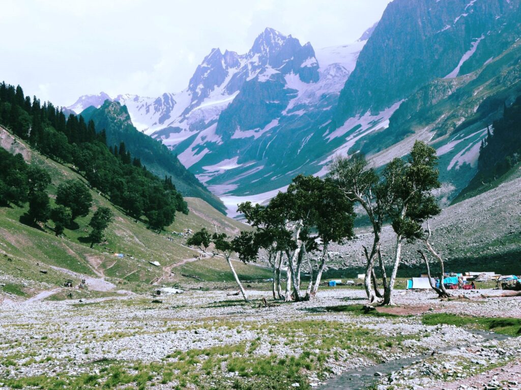 Beautiful view of mountains, trees, and camp in Sonamarg, Kashmir.