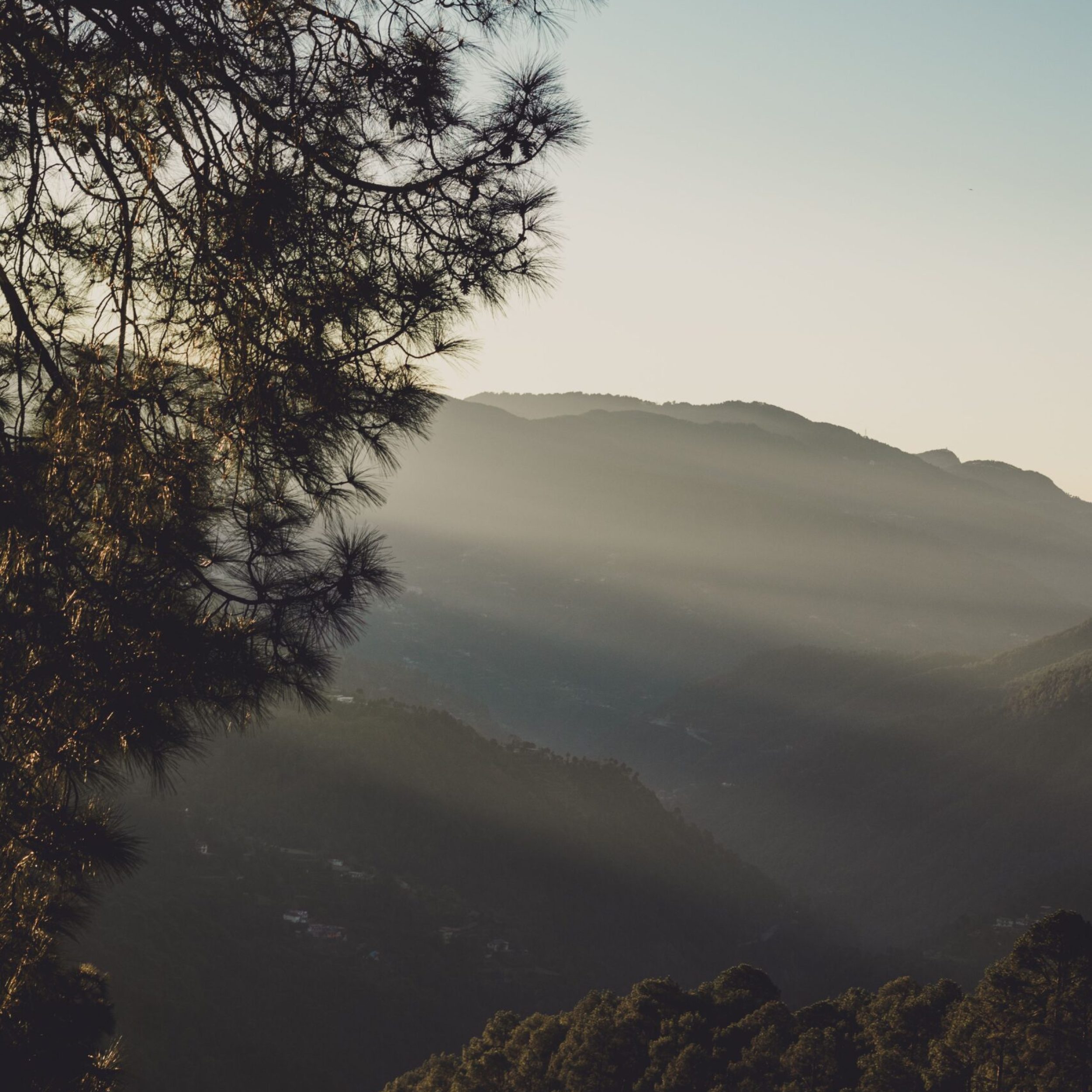 Serene landscape featuring misty mountains and pine trees in Shimla, Himachal Pradesh at dawn.
